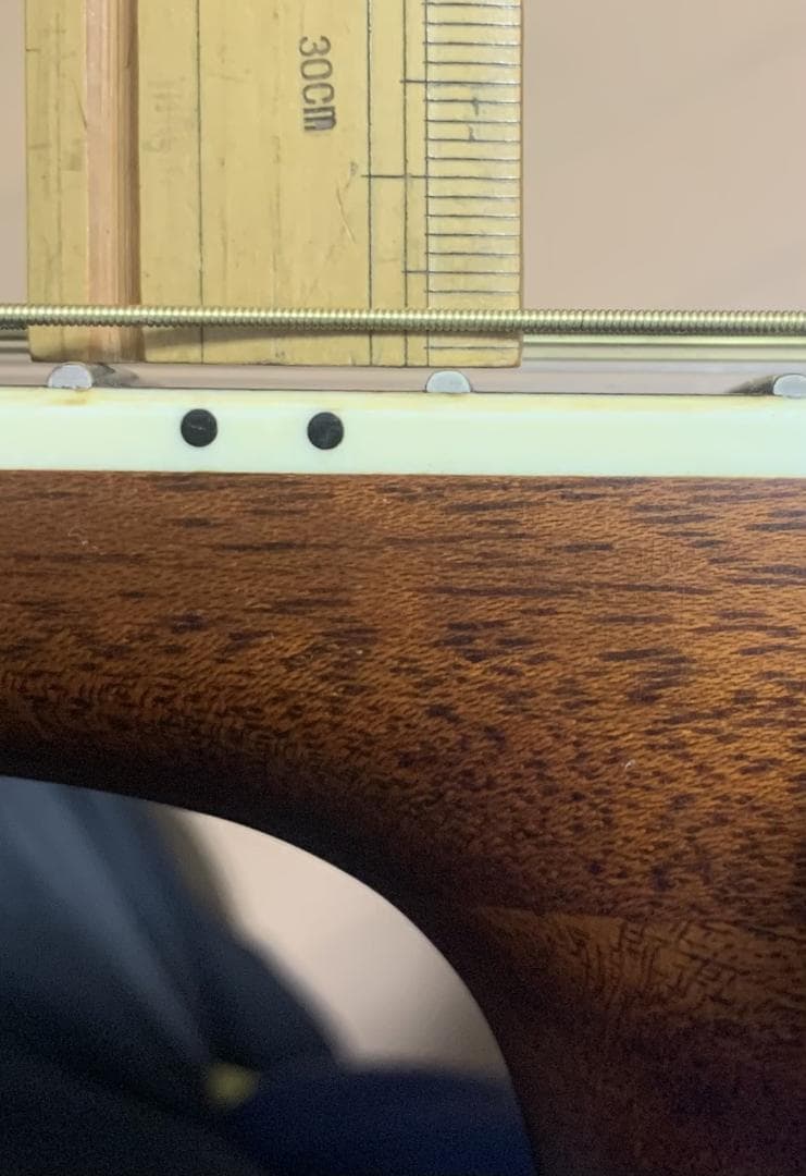 Aria Dreadnought AD-950Nオール単板【弾きやすさ◎音質◎】