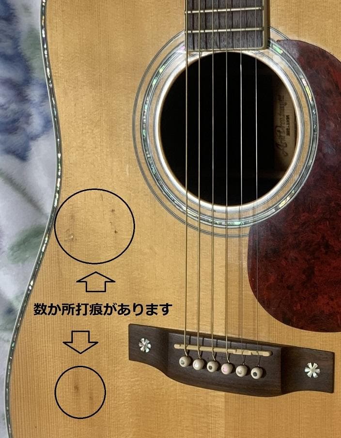 Aria Dreadnought AD-950Nオール単板【弾きやすさ◎音質◎】