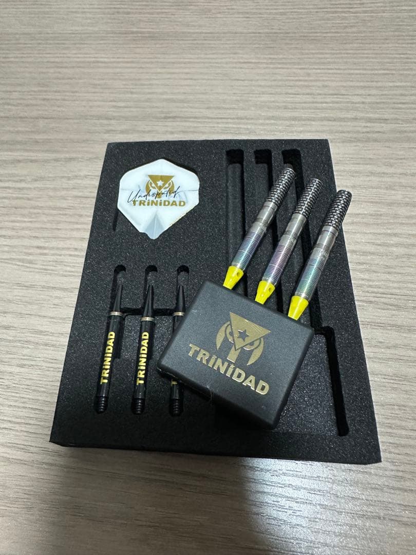 TRINIDAD HUGO TYPE 2 ダーツ