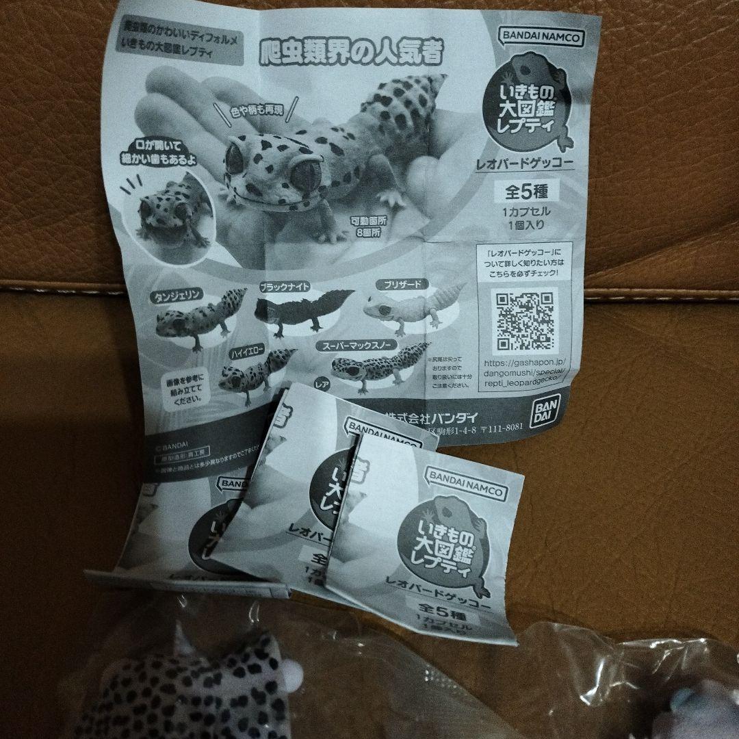 いきもの大図鑑 レプティ