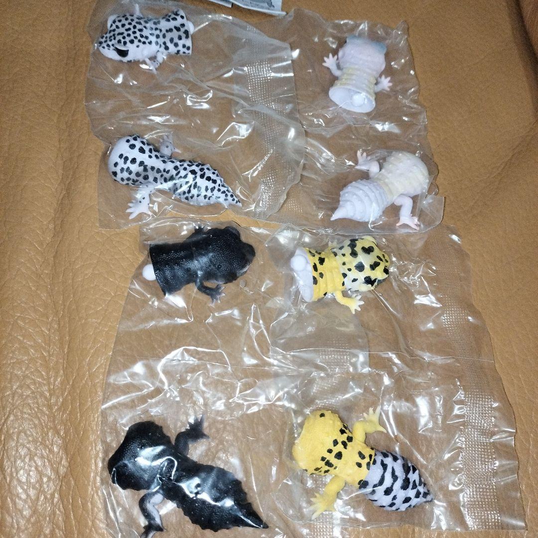 いきもの大図鑑 レプティ