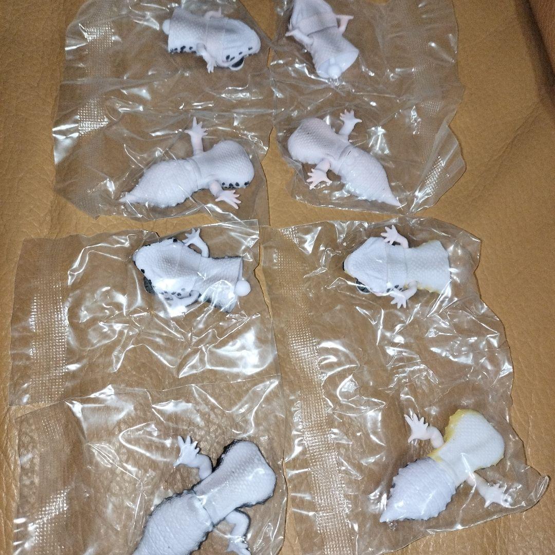 いきもの大図鑑 レプティ