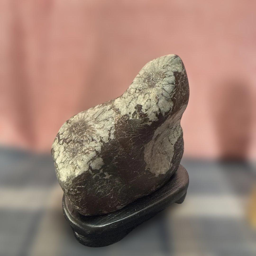 天然石 菊花石2点処分　茶筅含みません