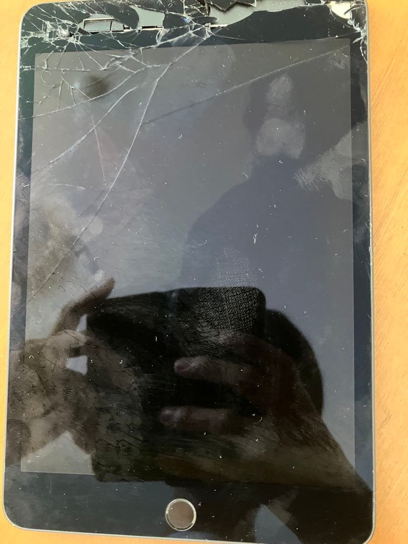 iPad mini5 A2124 ジャンク 画面映らず 通電OK