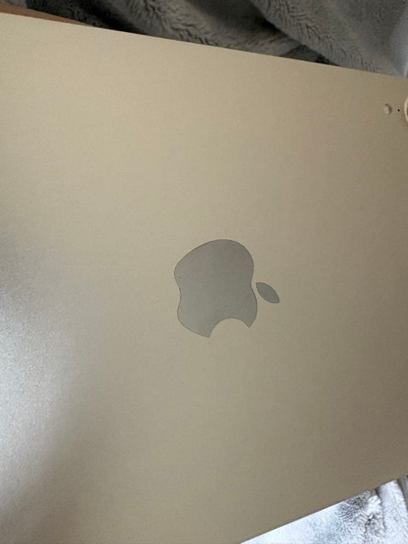 iPad mini6 64GB スターライト 美品 本体＋保護ケース（付属品なし