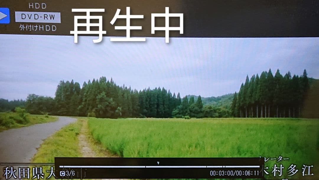 1TB/シャープ/BD-W1700/アクオス/W録/外付HDD/ドラ丸