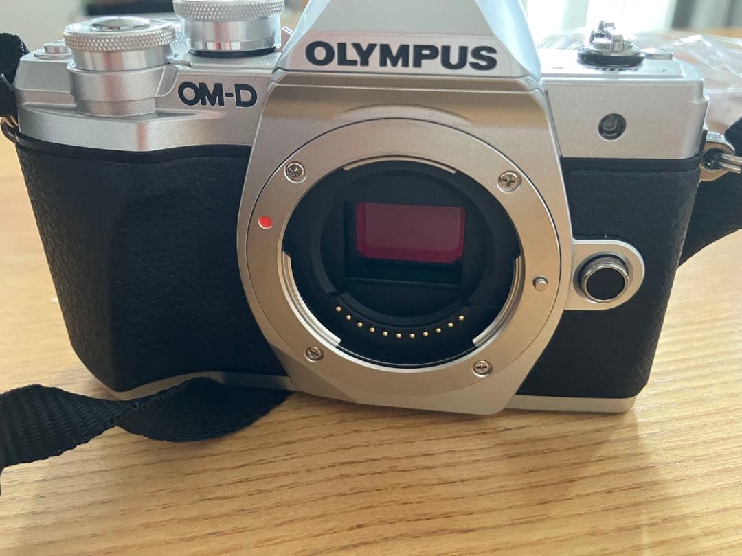OLYMPUS OM-D E-M10 シルバー 本体と付属品