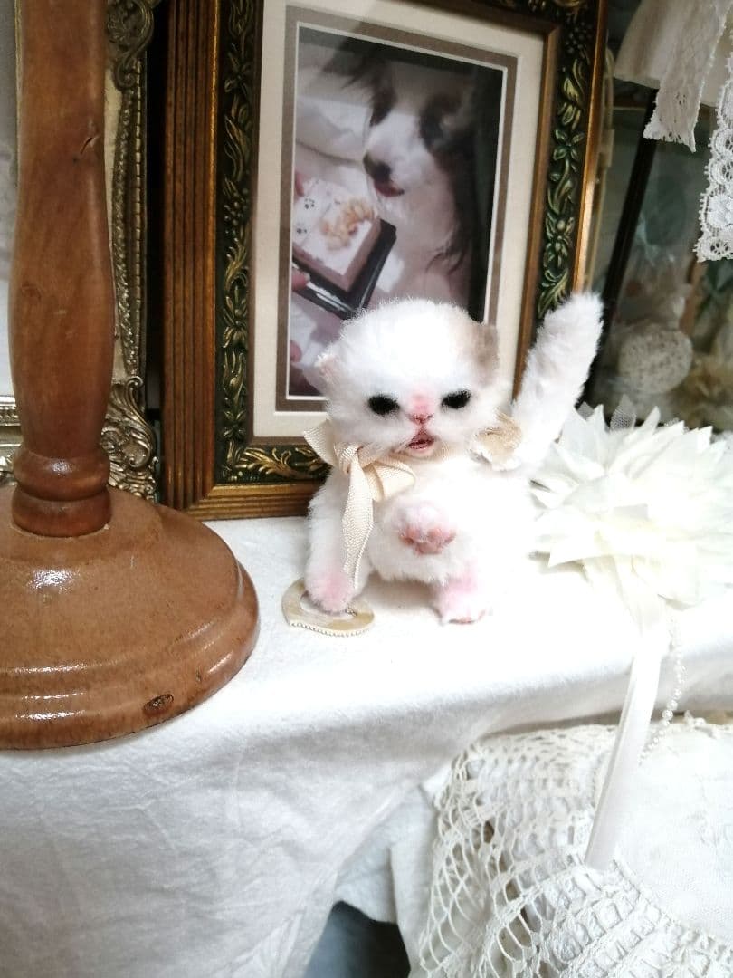 (ΦωΦ)ニャン♥生後1ヶ月♥猫(ΦωΦ)猫里親様募集・♥(ΦωΦ)(ΦωΦ)