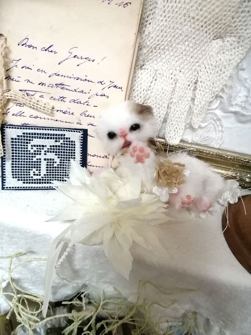 (ΦωΦ)ニャン♥生後1ヶ月♥猫(ΦωΦ)猫里親様募集・♥(ΦωΦ)(ΦωΦ)