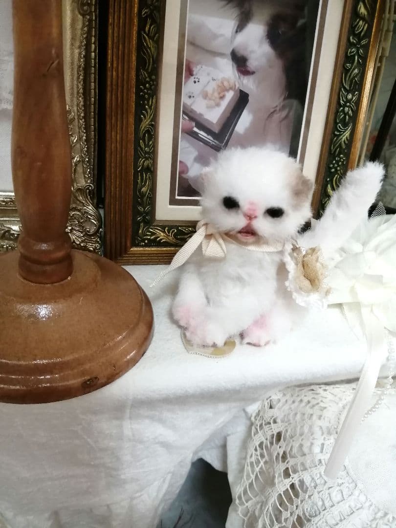(ΦωΦ)ニャン♥生後1ヶ月♥猫(ΦωΦ)猫里親様募集・♥(ΦωΦ)(ΦωΦ)