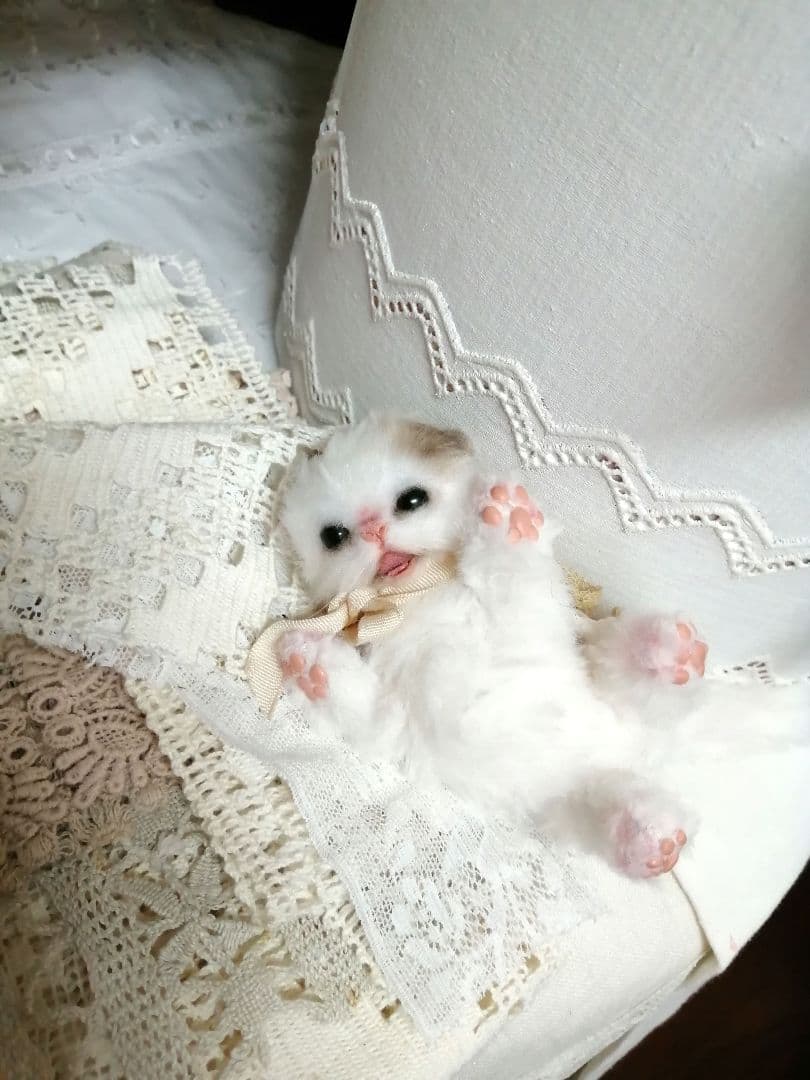 (ΦωΦ)ニャン♥生後1ヶ月♥猫(ΦωΦ)猫里親様募集・♥(ΦωΦ)(ΦωΦ)