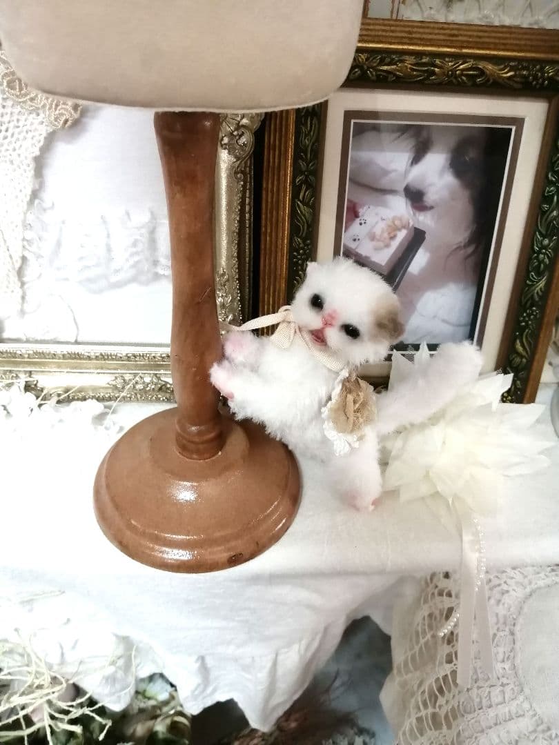 (ΦωΦ)ニャン♥生後1ヶ月♥猫(ΦωΦ)猫里親様募集・♥(ΦωΦ)(ΦωΦ)