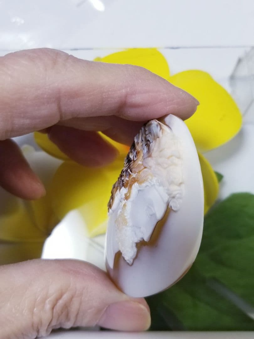 KS-197 【ジュゼッペ・テンリエーレ作】天然3層シェルカメオルース