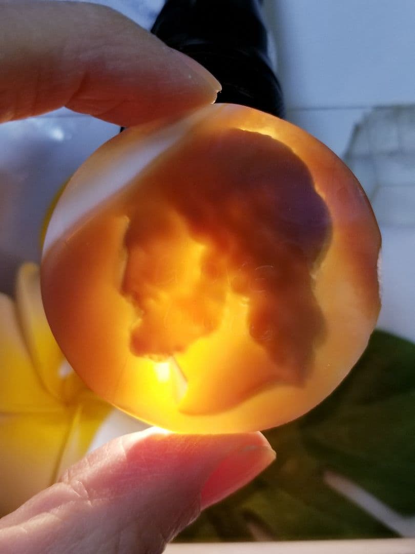 KS-197 【ジュゼッペ・テンリエーレ作】天然3層シェルカメオルース