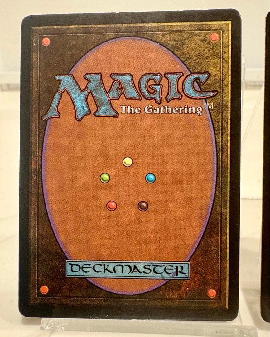 アルゴスの女魔術師 Argothian Enchantress英語版 mtg