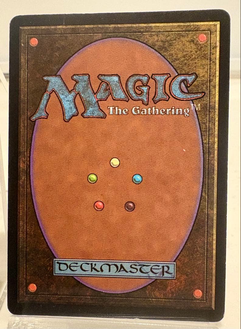 アルゴスの女魔術師 Argothian Enchantress英語版 mtg