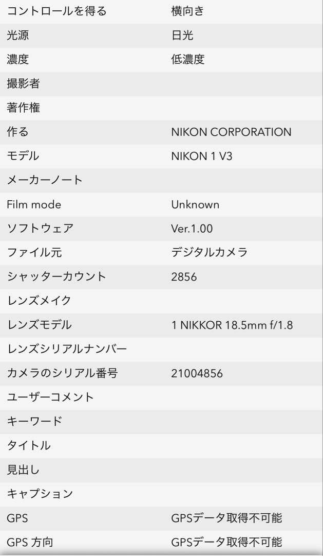 Nikon 1 V3 ミラーレスカメラ ニコン 一眼