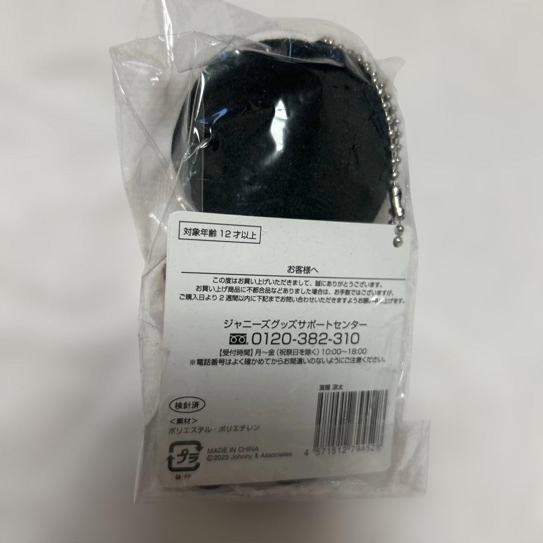 すのチル　宮舘涼太　ぬいぐるみ