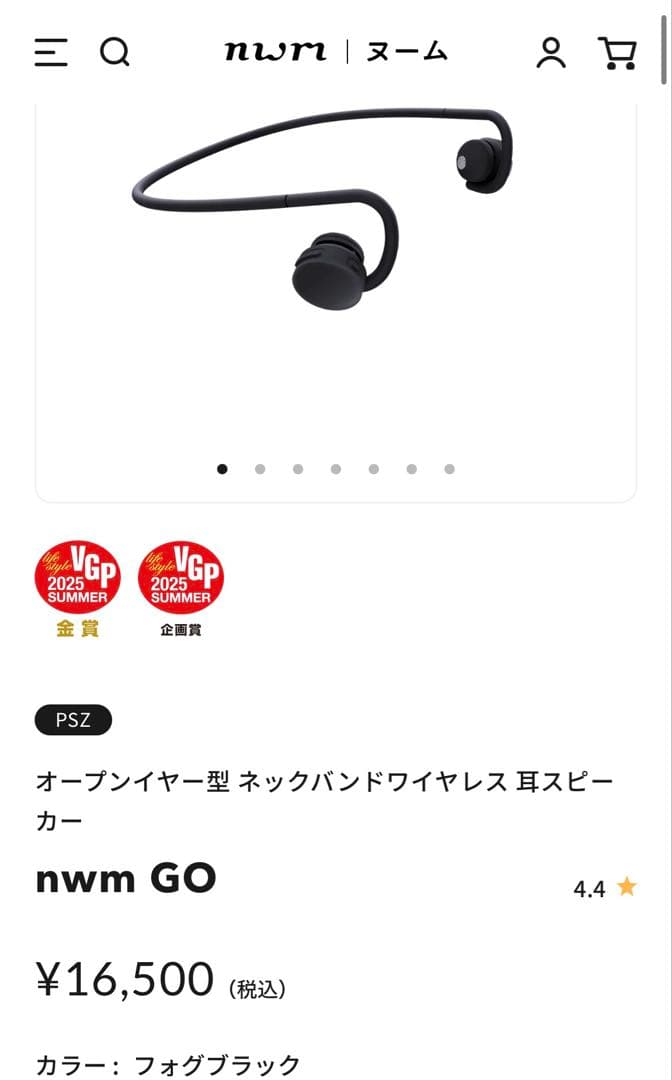 イヤホン nwm GO