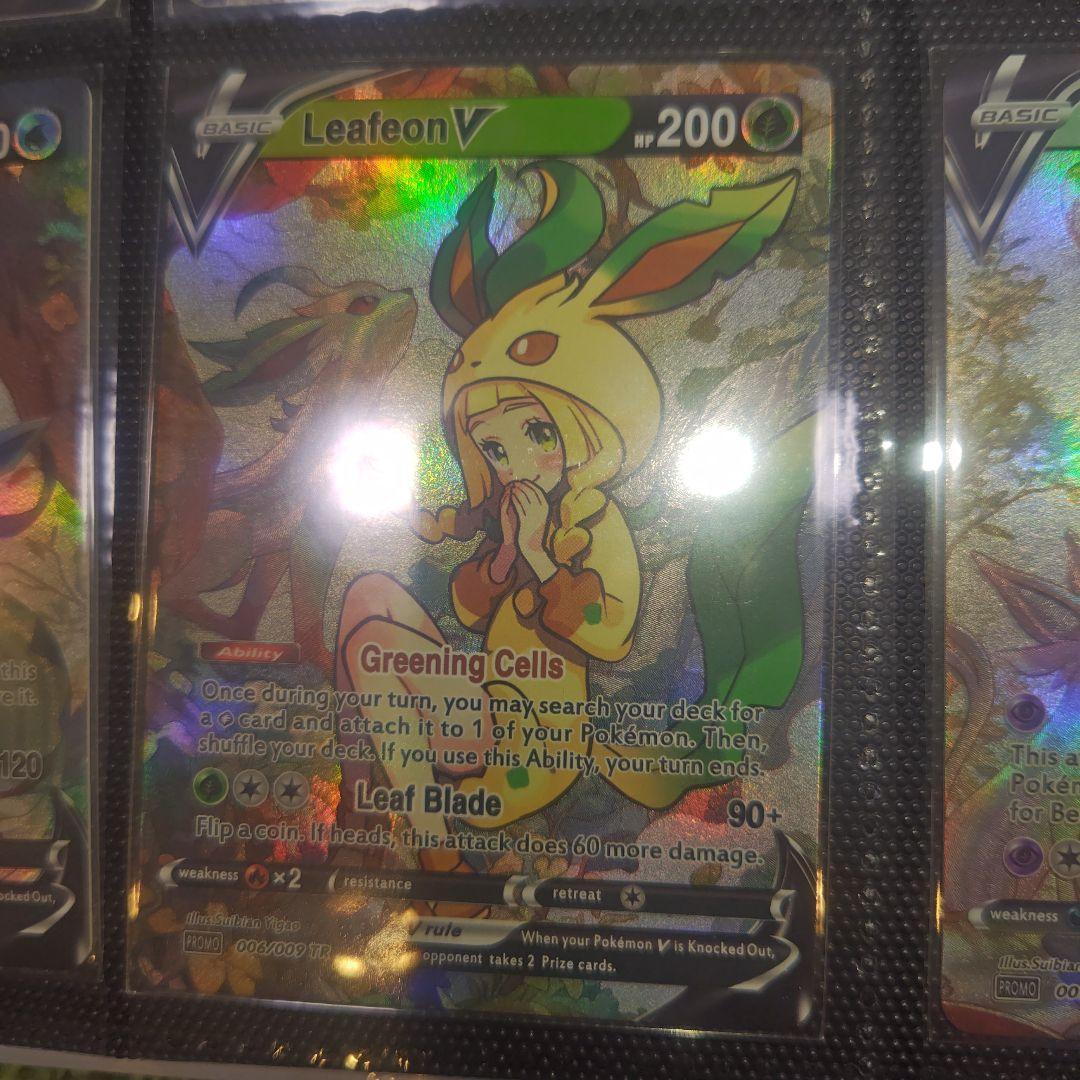 ブイズの着ぐるみを着たリーリエ　セット　希少