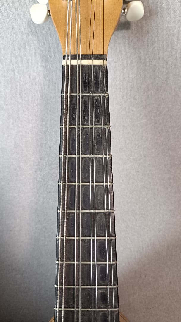 マンドリン 川田一夫 1999年