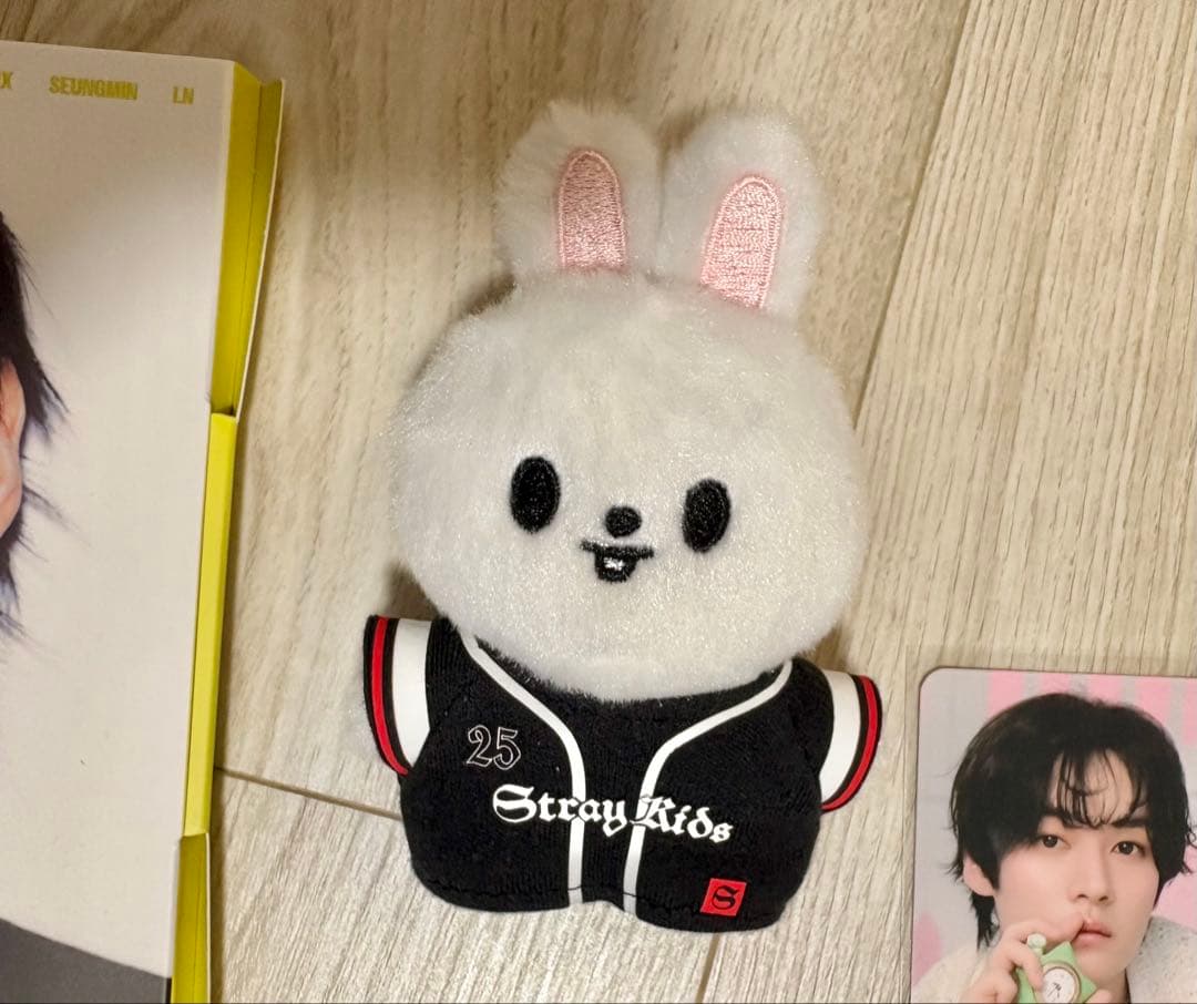 最終値下 straykids リノ リビ セット