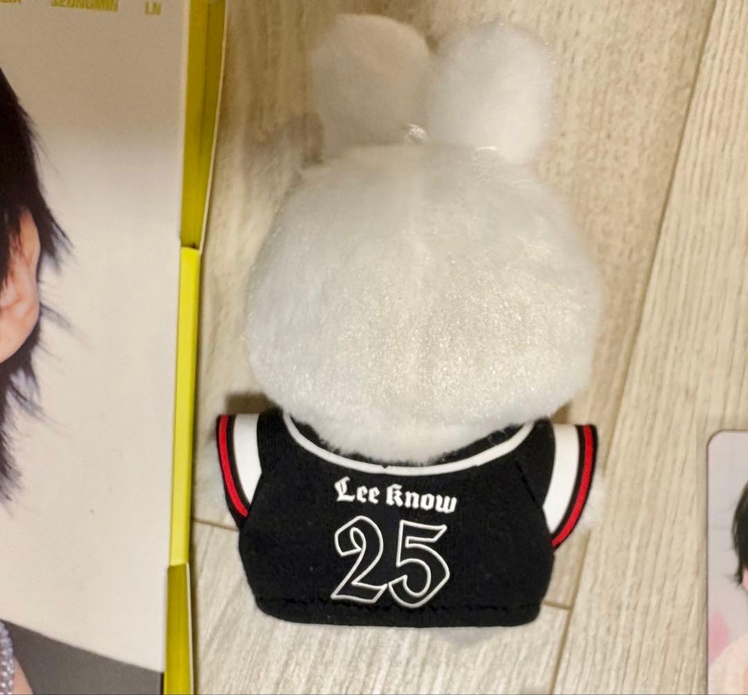 最終値下 straykids リノ リビ セット