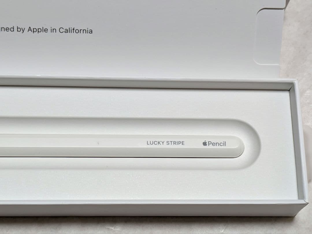 Apple Pencil 2世代 本体