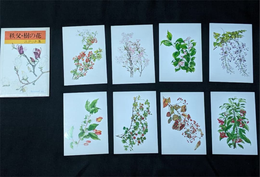 レトロ　自然　ポストカード　セット