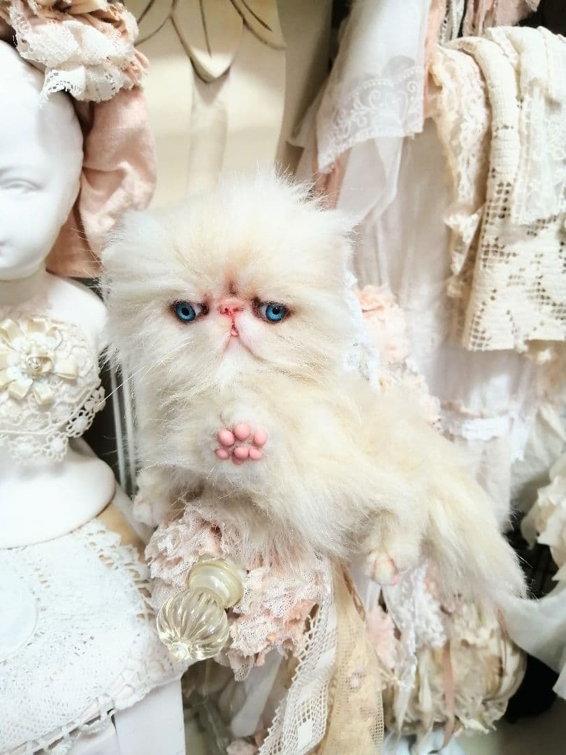 ふわふわ子猫ちゃん❤️エキゾチック❤️生後２ヶ月ベビー(*´艸｀*)❤️