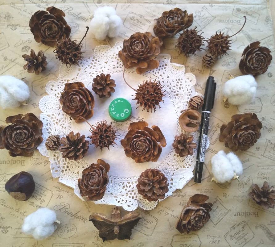 木の実  コンパクトボックス発送  No.６  ナチュラル