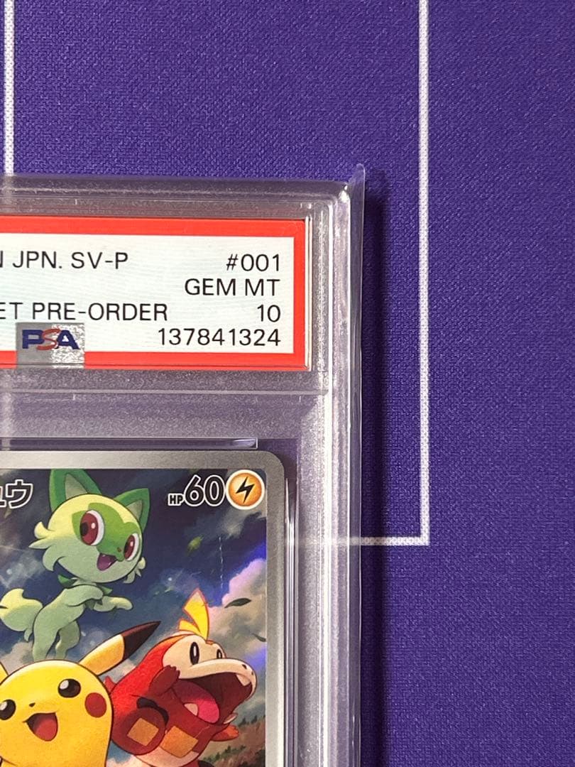 ピカチュウ　夏プロモ　みんなでぼうけん　psa 10連番