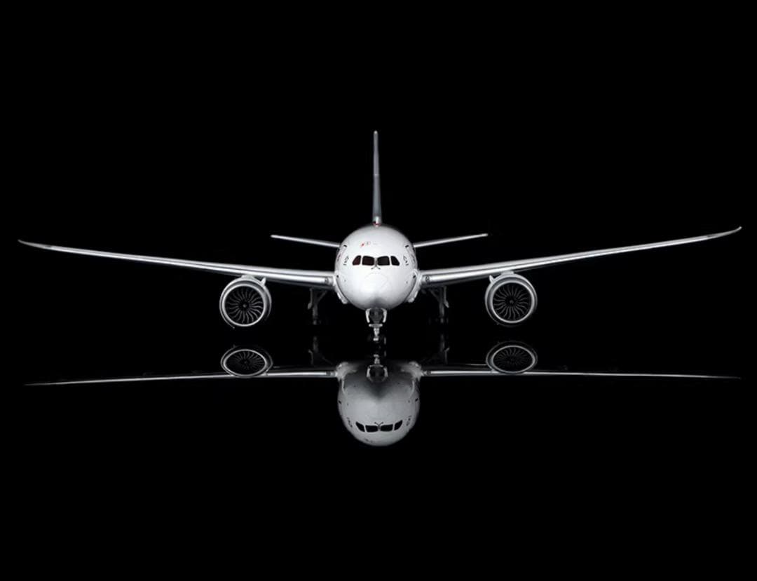 【新品・即納】鯖塗装 ANA B787-8 1/200 JA801A