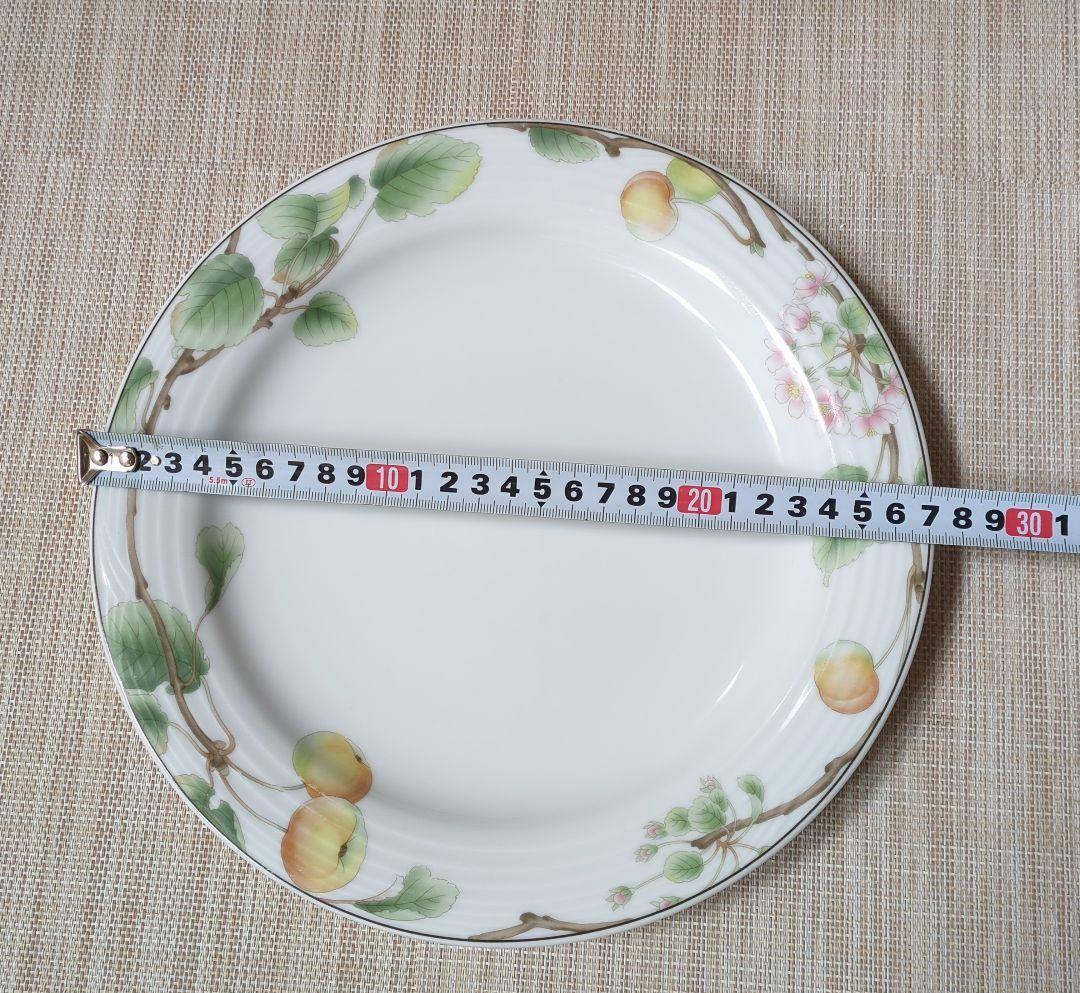 ノリタケ　Noritake　SUMMER　FRUITS　大5枚　小4枚