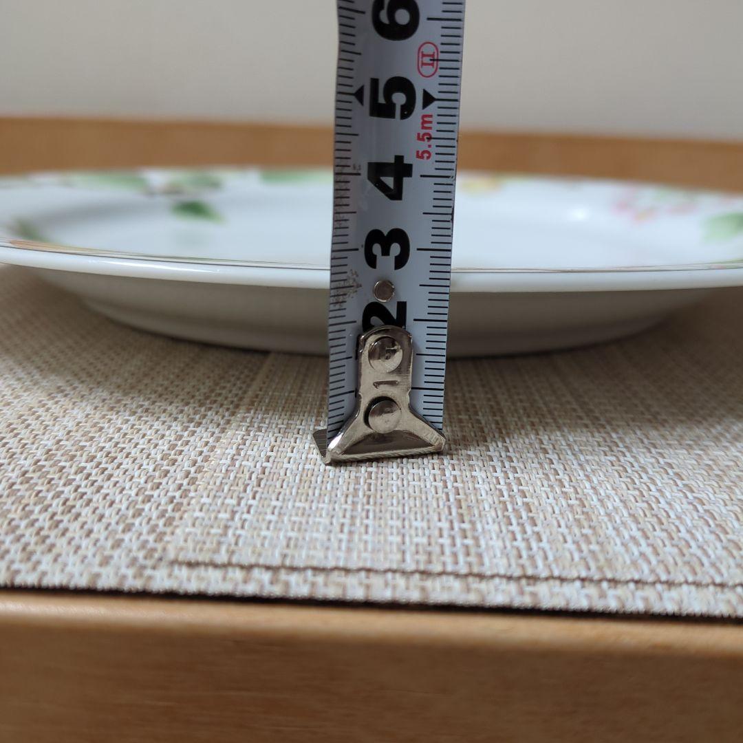 ノリタケ　Noritake　SUMMER　FRUITS　大5枚　小4枚