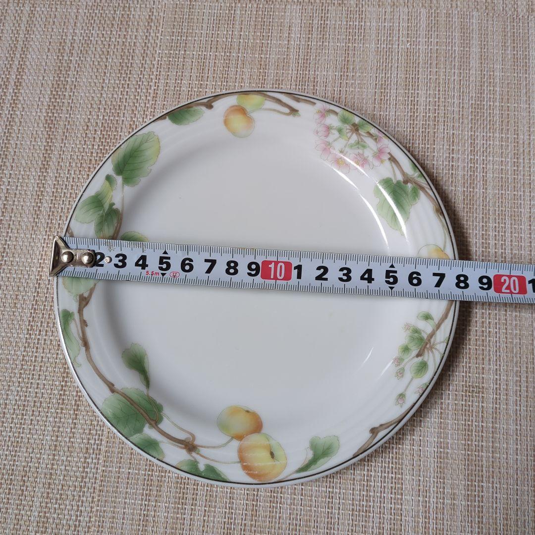 ノリタケ　Noritake　SUMMER　FRUITS　大5枚　小4枚