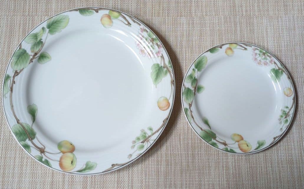 ノリタケ　Noritake　SUMMER　FRUITS　大5枚　小4枚