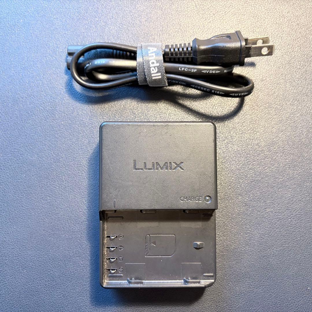 Panasonic LUMIX GH4本体 SmallRigケージ付 おまけ多数