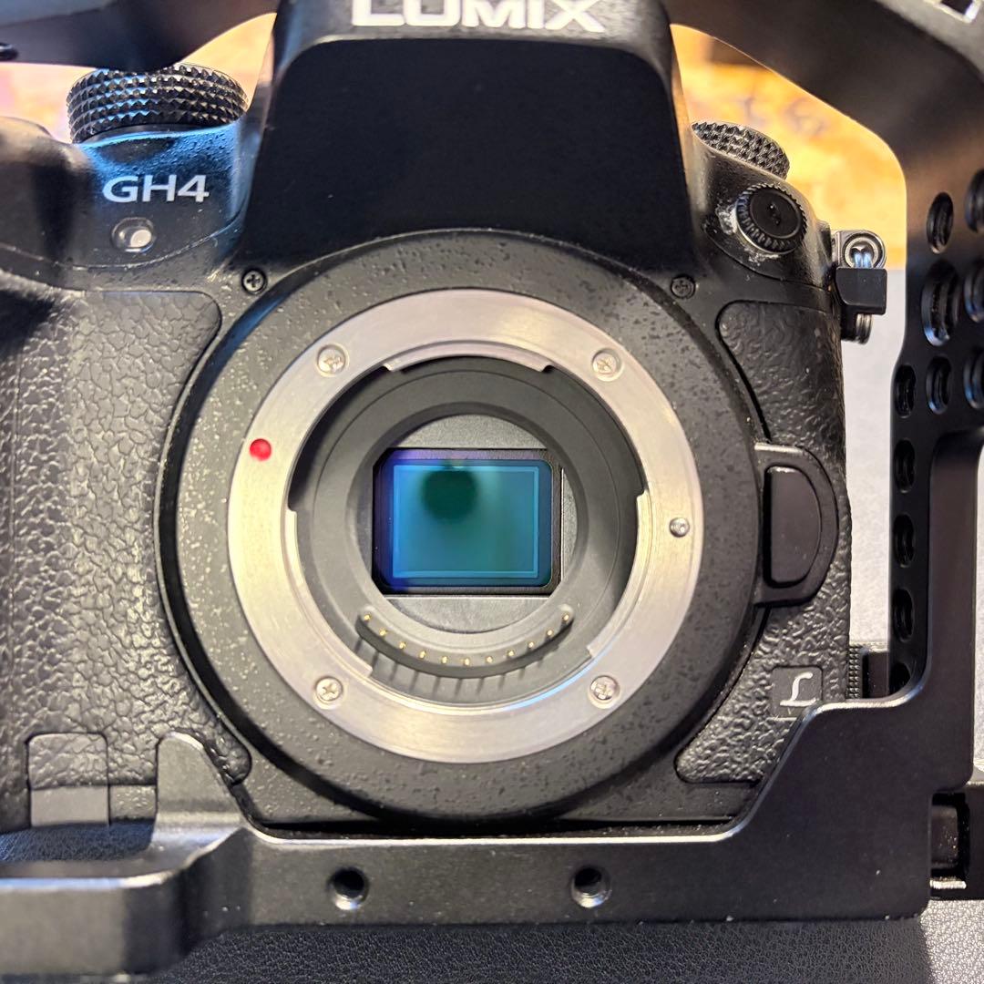 Panasonic LUMIX GH4本体 SmallRigケージ付 おまけ多数