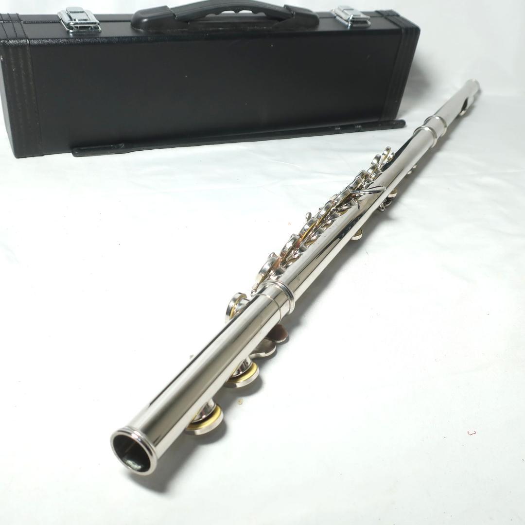 Enhong フルート ハードケース付き