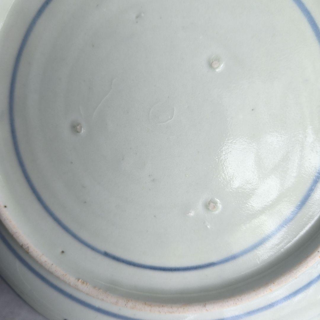 古伊万里　染付　七寸皿　椿　江戸時代　窓絵　骨董　アンティーク