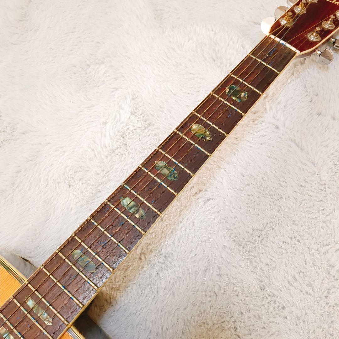 希少品 ★ ARIA W-30D ドレッドノート アコースティックギター