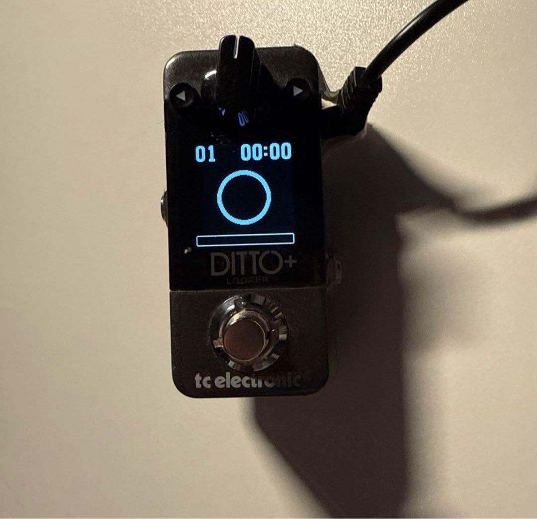 tc electronic DITTO plus + Looper ルーパー