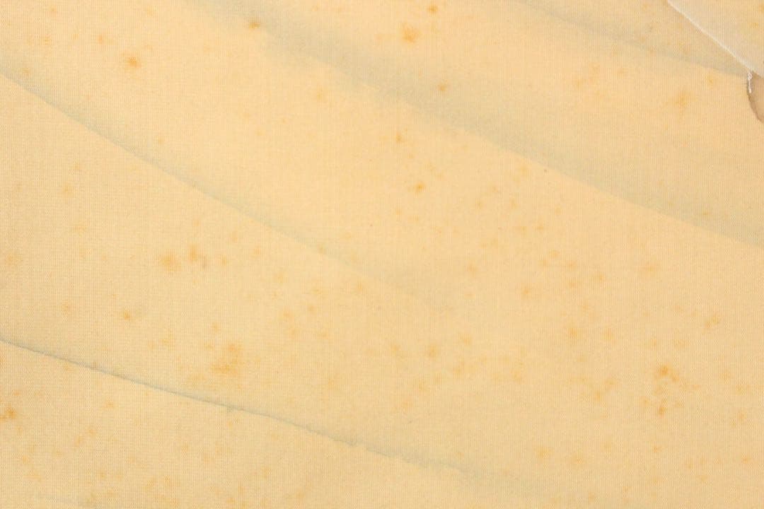 No4588 掛軸　在銘　華仙　鮎図　着色絹本　日本画　古画　古美術　送料無料