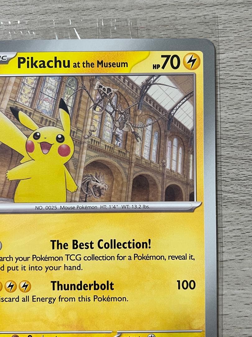 ロンドン 自然史博物館限定 ピカチュウ Museum プロモ ジャンボ 2枚