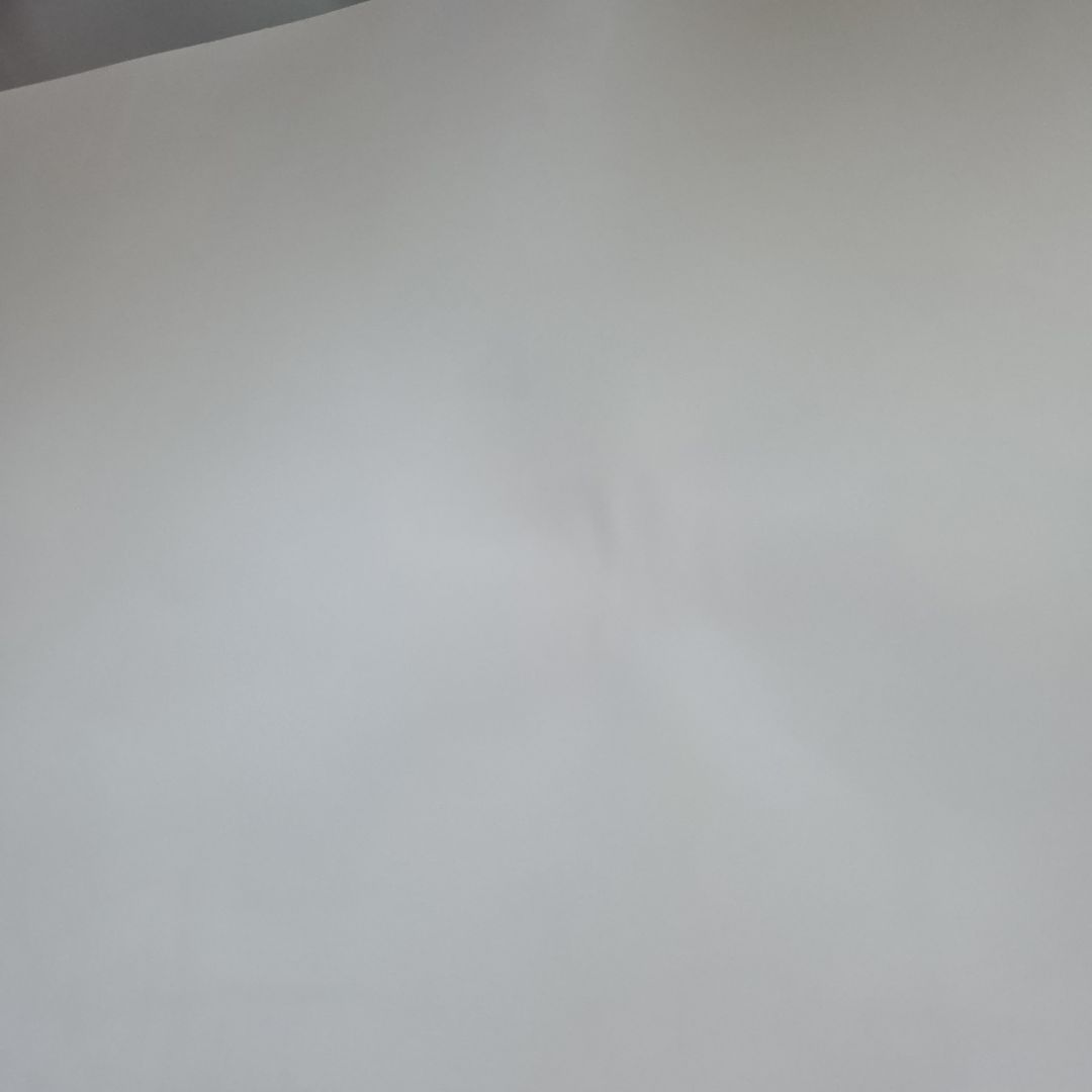 いぎなり東北産　パシフィコ横浜　ニッカン新聞　安杜羽加サインあり