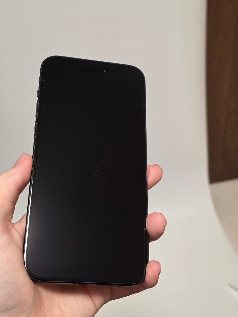 Apple iPhone 15 Plus ブラック 本体 256gb ケース付き