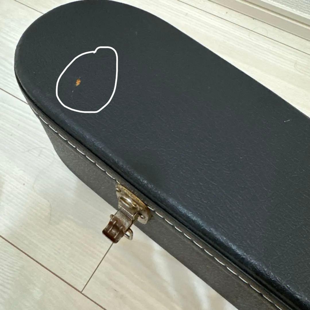 【お得】James JF350NAアコースティックギター ハードケース付き