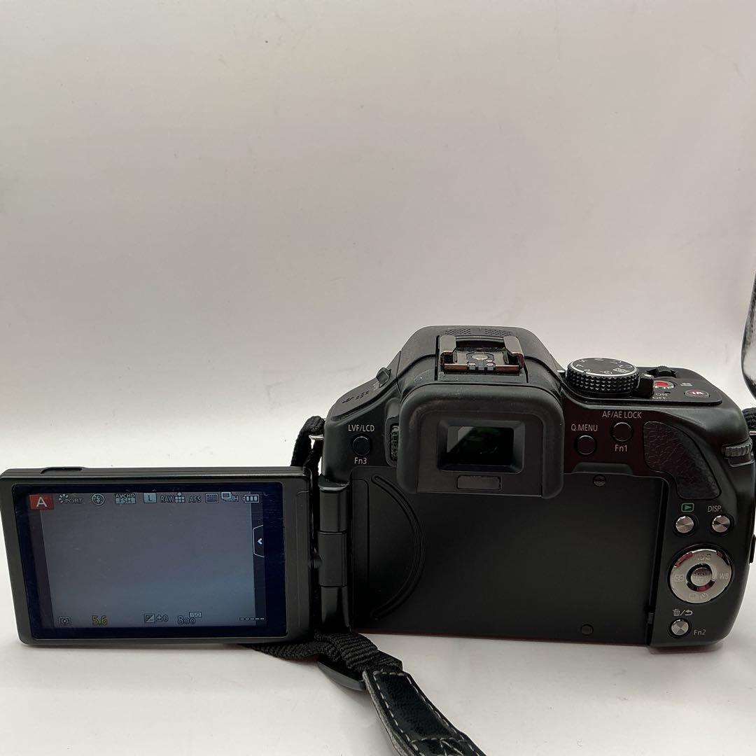 Panasonic LUMIX DMC-G5 バッテリー、バッグ付　動作確認済み