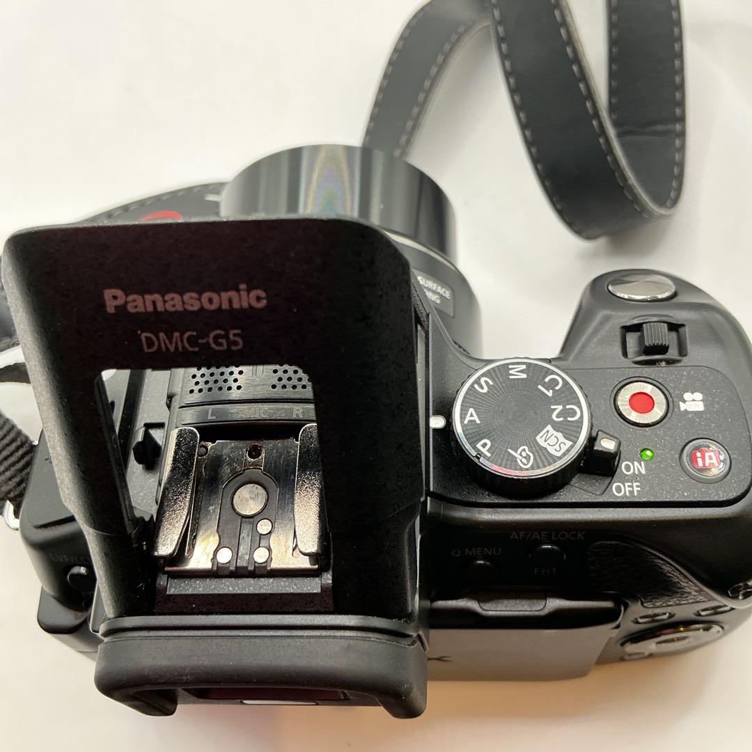 Panasonic LUMIX DMC-G5 バッテリー、バッグ付　動作確認済み
